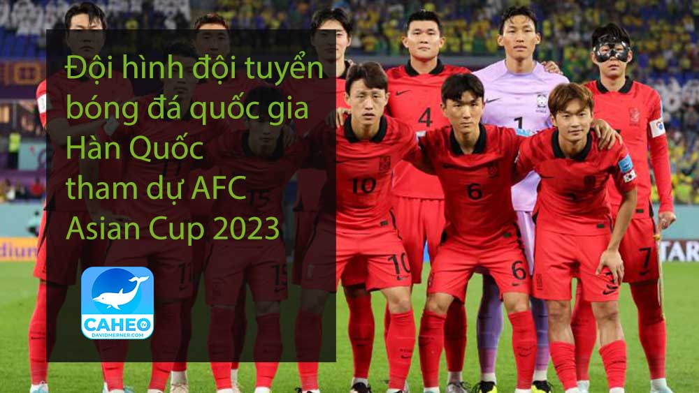 Đội hình đội tuyển bóng đá quốc gia Hàn Quốc tham dự AFC Asian Cup 2023